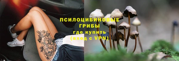 бошки Пестово