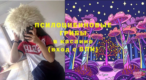марки lsd Переславль-Залесский