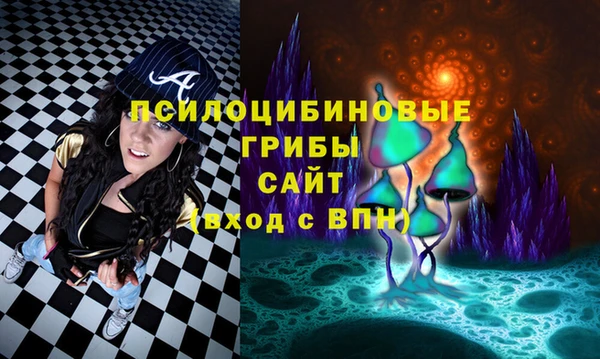 марки lsd Переславль-Залесский