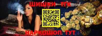 индика Беслан