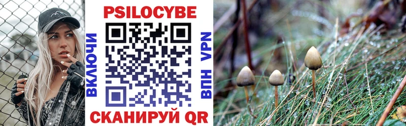 наркотики Сертолово Галлюциногенные грибы мухоморы
