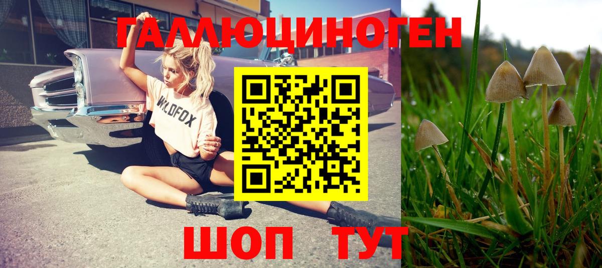 Псилоцибиновые грибы прущие грибы  Галлюциногенные грибы MAGIC MUSHROOMS  Сертолово 