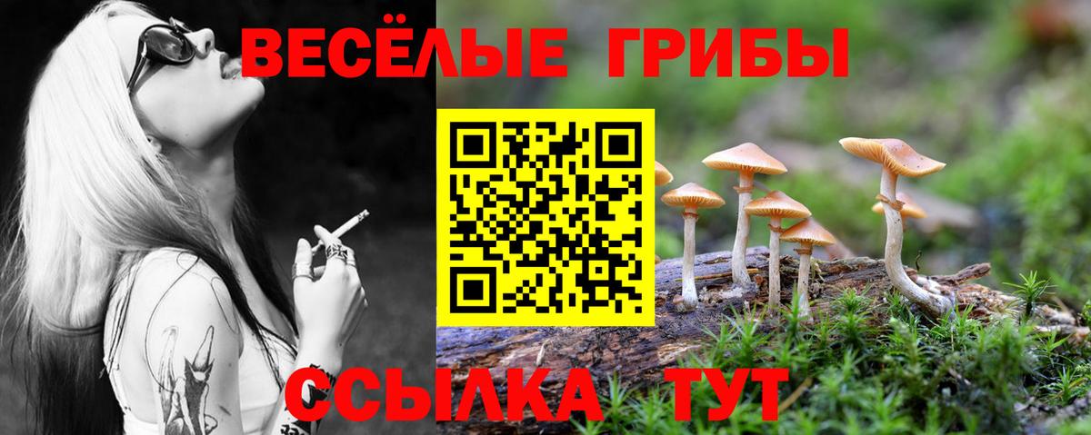 Псилоцибиновые грибы Psilocybine cubensis Сертолово